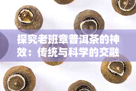 探究老班章普洱茶的神效：传统与科学的交融