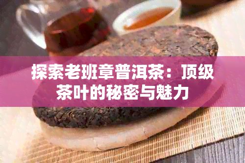 探索老班章普洱茶：顶级茶叶的秘密与魅力