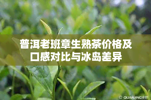 普洱老班章生熟茶价格及口感对比与冰岛差异