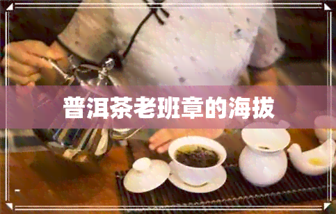 普洱茶老班章的海拔