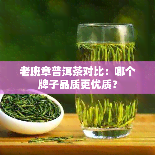 老班章普洱茶对比：哪个牌子品质更优质？