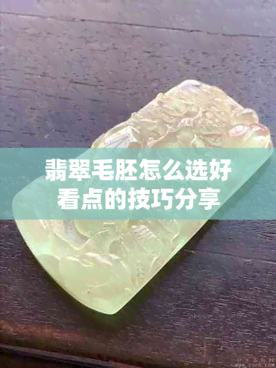 翡翠毛胚怎么选好看点的技巧分享