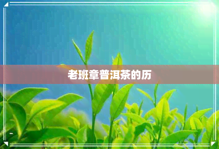 老班章普洱茶的历