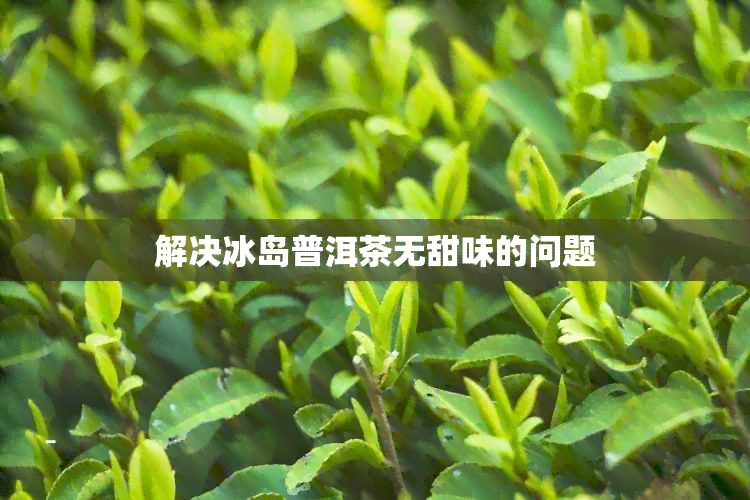 解决冰岛普洱茶无甜味的问题