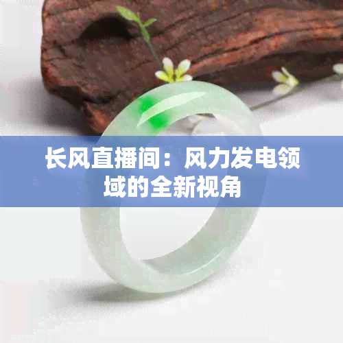 长风直播间：风力发电领域的全新视角