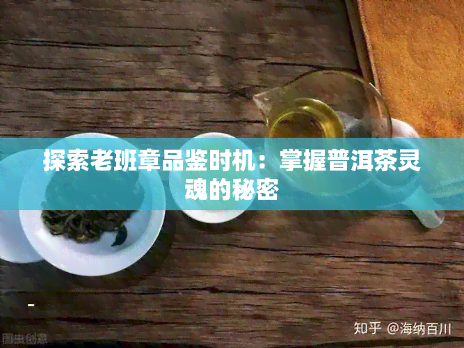 探索老班章品鉴时机：掌握普洱茶灵魂的秘密