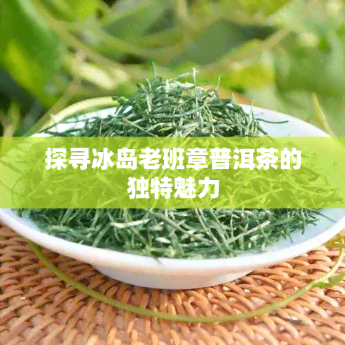 探寻冰岛老班章普洱茶的独特魅力