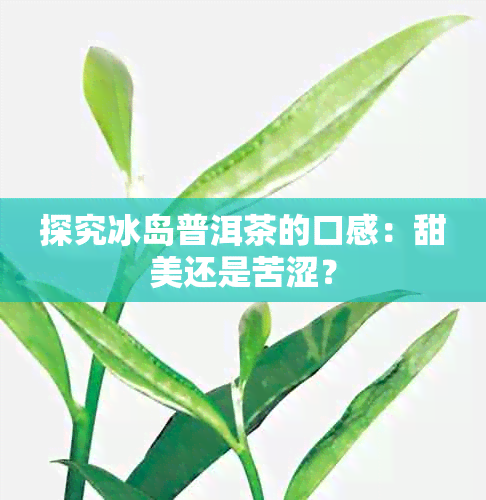 探究冰岛普洱茶的口感：甜美还是苦涩？