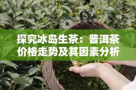 探究冰岛生茶：普洱茶价格走势及其因素分析