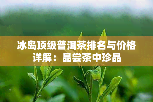 冰岛顶级普洱茶排名与价格详解：品尝茶中珍品