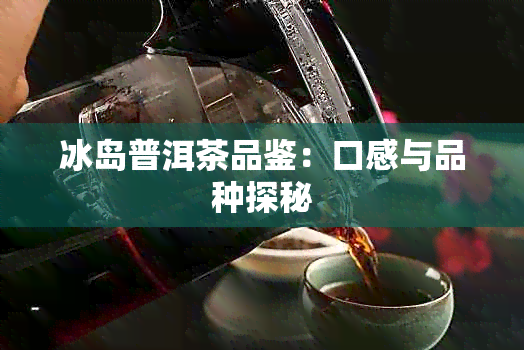 冰岛普洱茶品鉴：口感与品种探秘