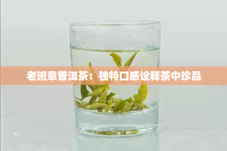 老班章普洱茶：独特口感诠释茶中珍品