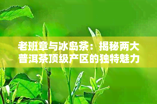 老班章与冰岛茶：揭秘两大普洱茶顶级产区的独特魅力