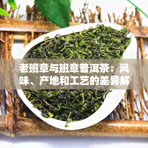 老班章与班章普洱茶：风味、产地和工艺的差异解析