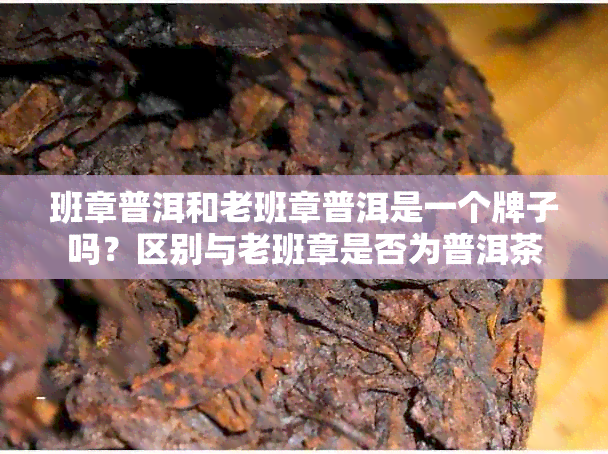 班章普洱和老班章普洱是一个牌子吗？区别与老班章是否为普洱茶