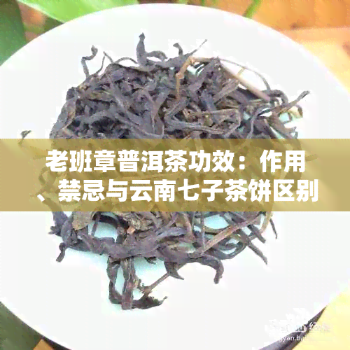 老班章普洱茶功效：作用、禁忌与云南七子茶饼区别