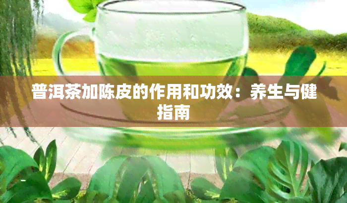 普洱茶加陈皮的作用和功效：养生与健指南