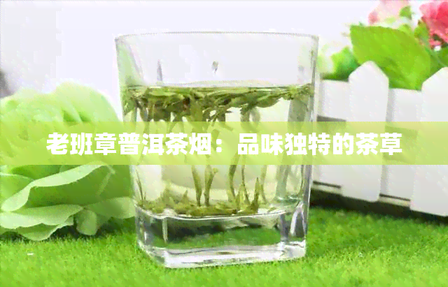 老班章普洱茶：品味独特的茶草