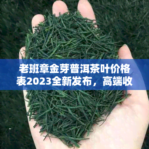 老班章金芽普洱茶叶价格表2023全新发布，高端收藏茶品市场行情分析