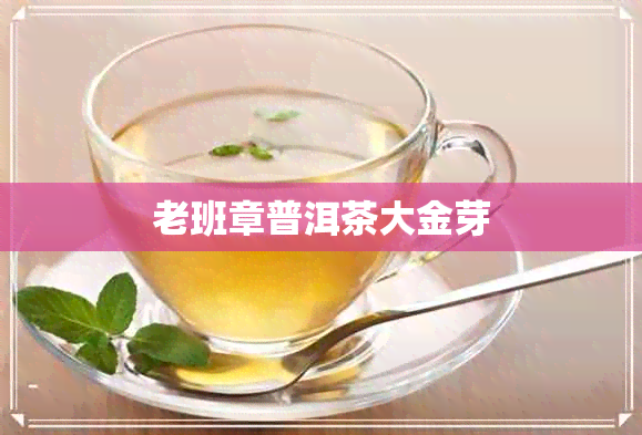 老班章普洱茶大金芽