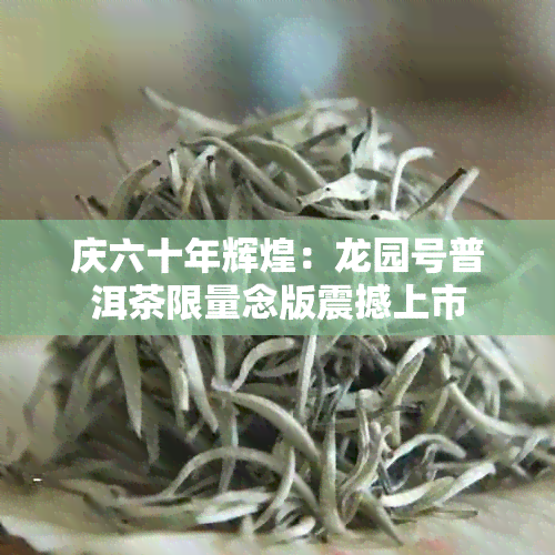 庆六十年辉煌：龙园号普洱茶限量念版震撼上市