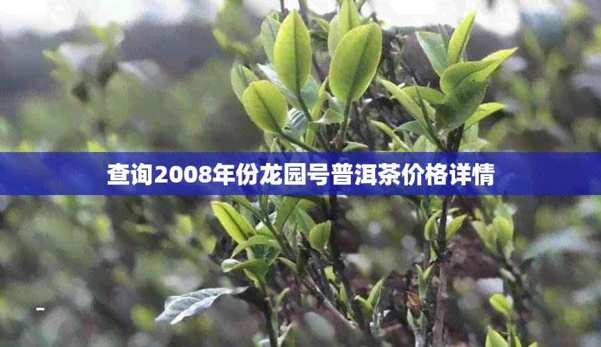 查询2008年份龙园号普洱茶价格详情