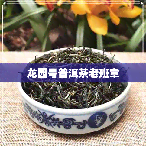 龙园号普洱茶老班章