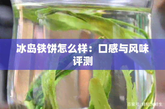 冰岛铁饼怎么样：口感与风味评测