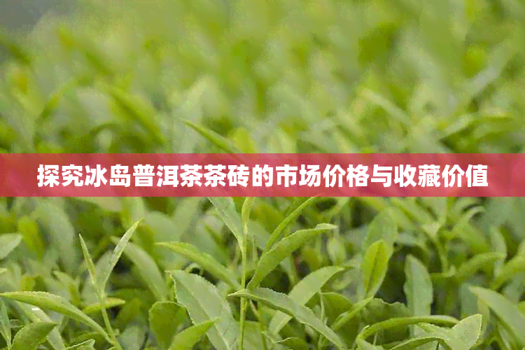 探究冰岛普洱茶茶砖的市场价格与收藏价值