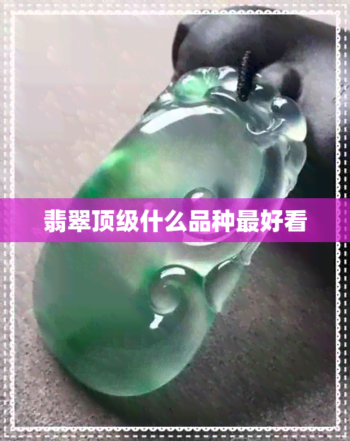 翡翠顶级什么品种更好看