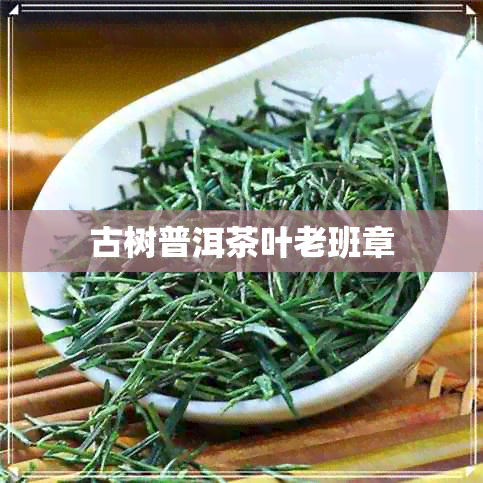 古树普洱茶叶老班章