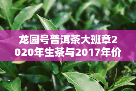 龙园号普洱茶大班章2020年生茶与2017年价格对比