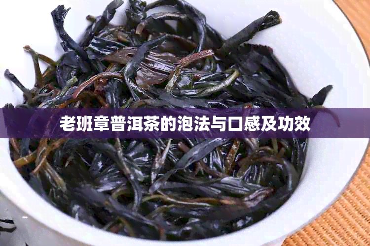 老班章普洱茶的泡法与口感及功效