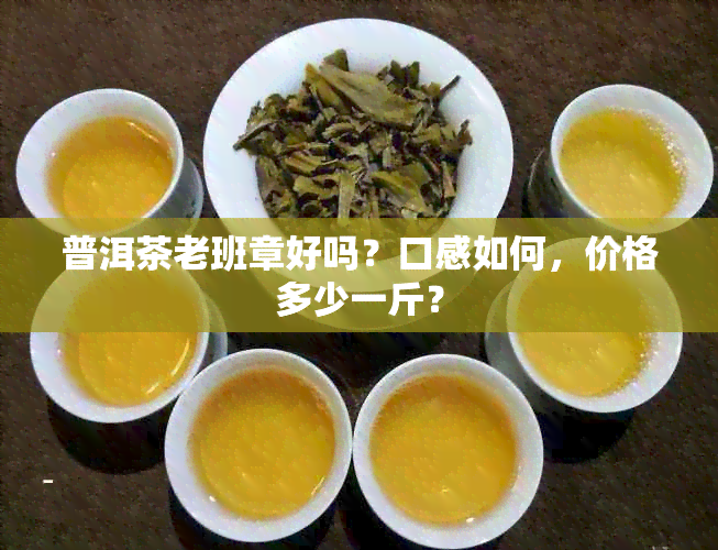 普洱茶老班章好吗？口感如何，价格多少一斤？