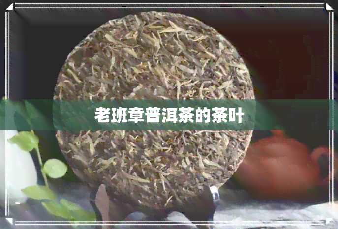 老班章普洱茶的茶叶