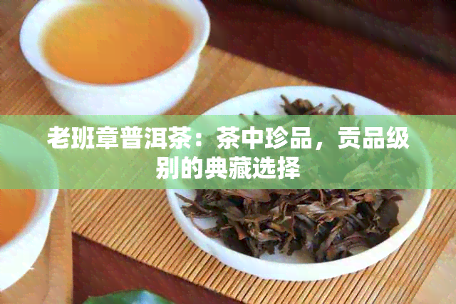 老班章普洱茶：茶中珍品，贡品级别的典藏选择