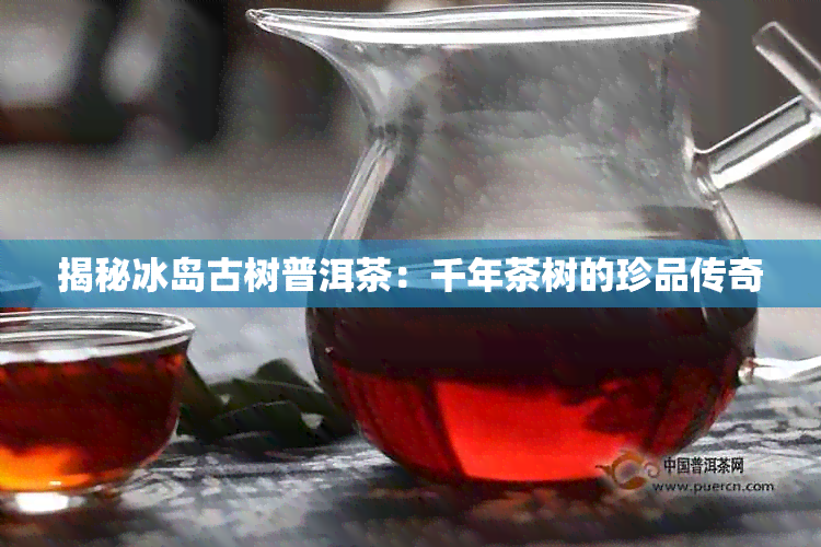 揭秘冰岛古树普洱茶：千年茶树的珍品传奇