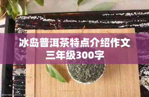 冰岛普洱茶特点介绍作文三年级300字