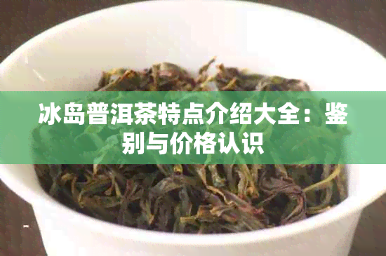 冰岛普洱茶特点介绍大全：鉴别与价格认识