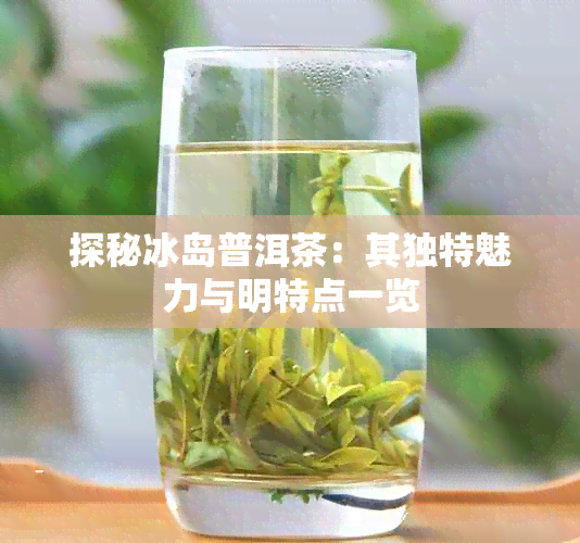 探秘冰岛普洱茶：其独特魅力与明特点一览