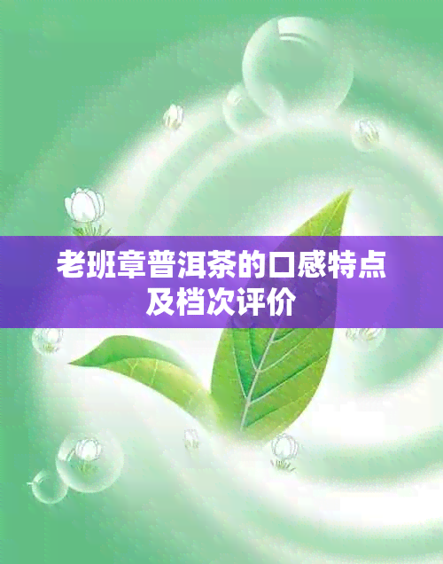 老班章普洱茶的口感特点及档次评价