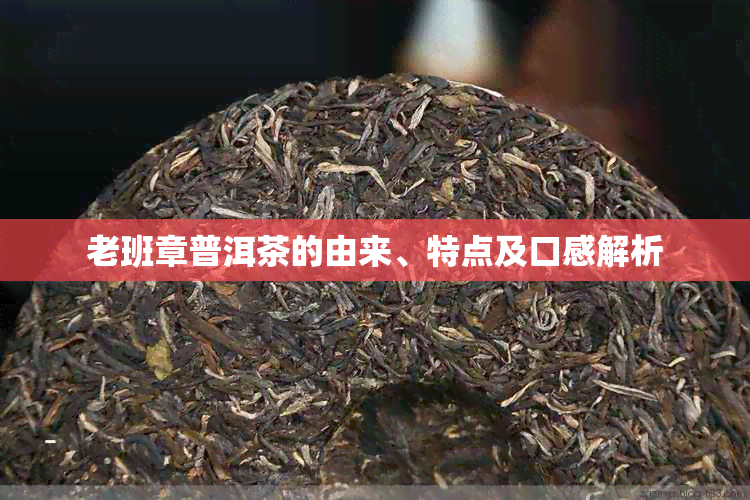 老班章普洱茶的由来、特点及口感解析