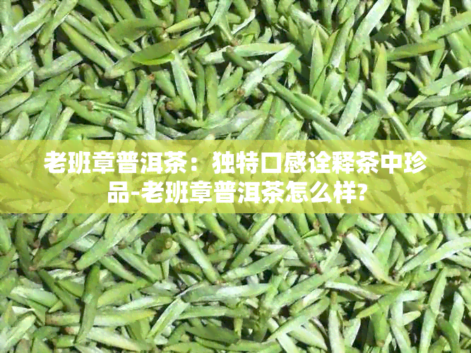 老班章普洱茶：独特口感诠释茶中珍品-老班章普洱茶怎么样?