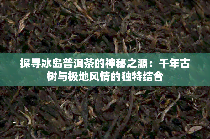 探寻冰岛普洱茶的神秘之源：千年古树与极地风情的独特结合