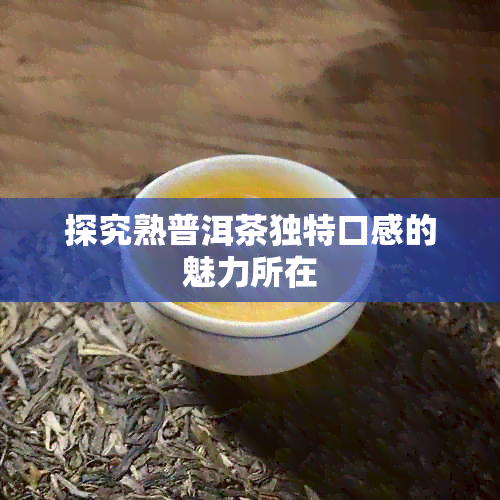 探究熟普洱茶独特口感的魅力所在