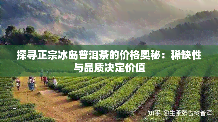 探寻正宗冰岛普洱茶的价格奥秘：稀缺性与品质决定价值