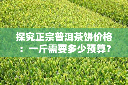 探究正宗普洱茶饼价格：一斤需要多少预算？