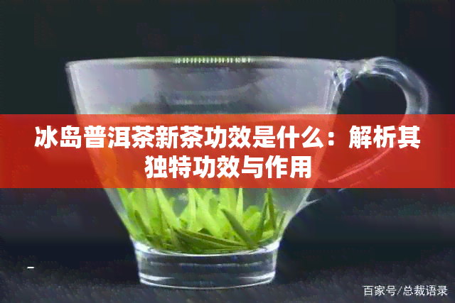 冰岛普洱茶新茶功效是什么：解析其独特功效与作用