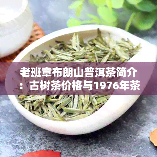 老班章布朗山普洱茶简介：古树茶价格与1976年茶砖