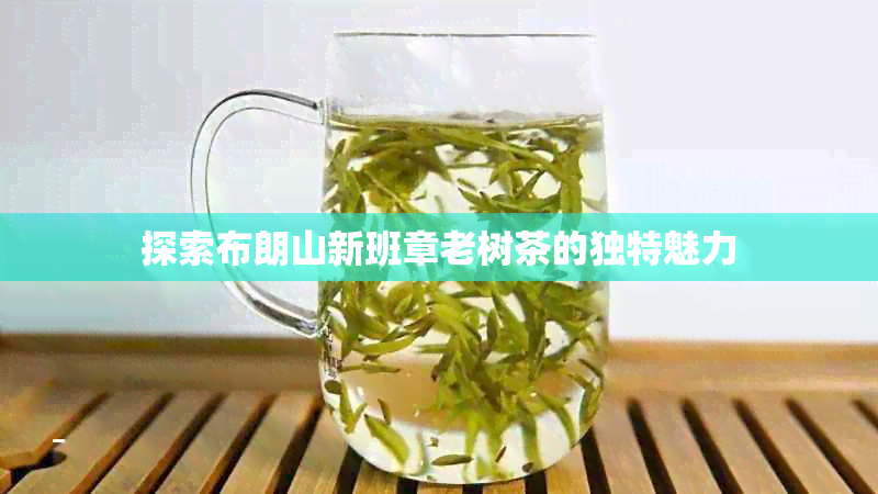 探索布朗山新班章老树茶的独特魅力